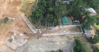 Chồng bị tạm giữ vợ bị phạt 50 triệu đồng