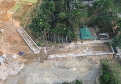Chồng bị tạm giữ vợ bị phạt 50 triệu đồng