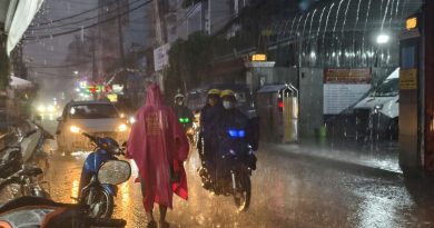 ‘Mưa vàng’ giải nhiệt cho TP.HCM