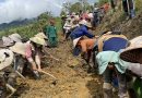 Hơn 2.000 người chung tay khắc phục sạt lở đất ở Quảng Ngãi
