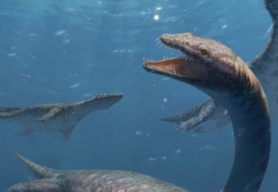 Quái vật cổ dài 42 đốt xuất hiện gần Lệ Giang cổ trấn