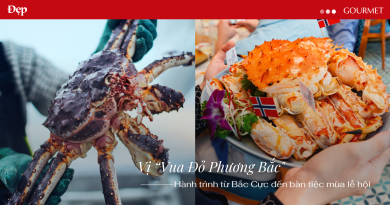 Vị “Vua Đỏ Phương Bắc” và hành trình từ Bắc Cực đến bàn tiệc mùa lễ hội