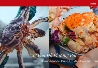 Vị “Vua Đỏ Phương Bắc” và hành trình từ Bắc Cực đến bàn tiệc mùa lễ hội