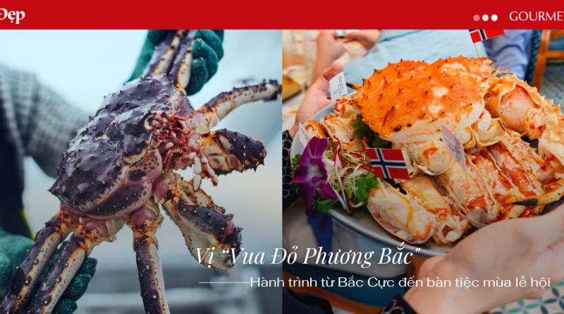 Vị “Vua Đỏ Phương Bắc” và hành trình từ Bắc Cực đến bàn tiệc mùa lễ hội