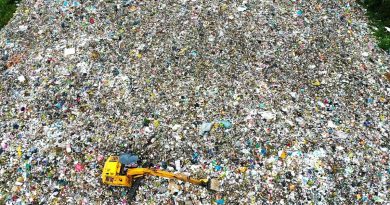 Cà Mau đầu tư nhà máy điện rác hơn 1.700 tỷ đồng