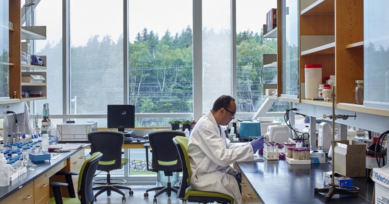 Vì sao Cape Breton University trở thành lựa chọn định cư của sinh viên Việt tại Canada?