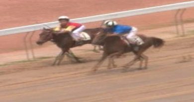 Chiến mã từng thống trị trường đua Phú Thọ