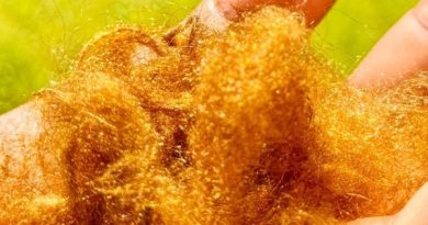 Nhà khoa học Hàn Quốc hồi sinh thành công vật liệu xa xỉ giữ ánh kim hàng nghìn năm