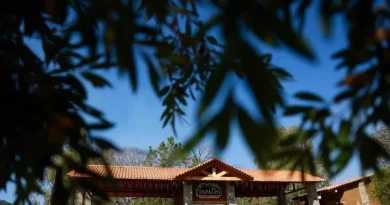 Bên trong biệt thự nơi trùm ma tuý khét tiếng Mexico bị phục kích