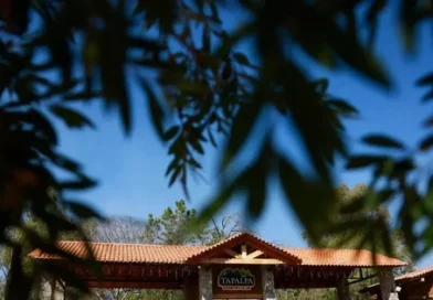 Bên trong biệt thự nơi trùm ma tuý khét tiếng Mexico bị phục kích