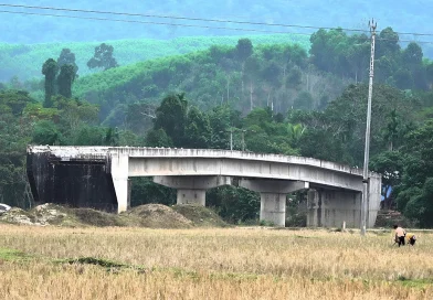 Cầu xây xong rồi bỏ không