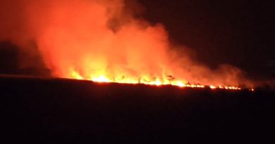 Cháy rừng ở An Giang, nơi đàn sếu đầu đỏ từng về kiếm ăn