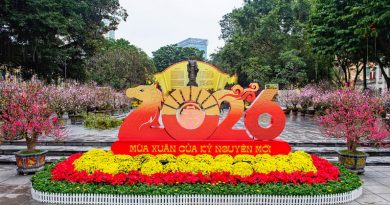 Hơn 300 gốc đào quý từ khắp miền Bắc cùng khoe sắc bên Hồ Gươm