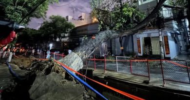 Cây cổ thụ bật gốc đè nhà dân nghi do đào đường thi công dự án