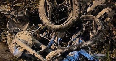 Va chạm với tàu hỏa, hai người chết