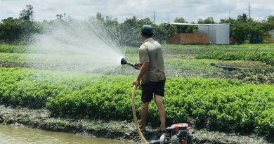 Vì sao 1 tấn lúa sử dụng gần 5.000 mét khối nước?