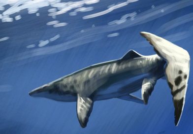 Thủy quái dài 9 mét xuất hiện giữa mỏ phốt phát