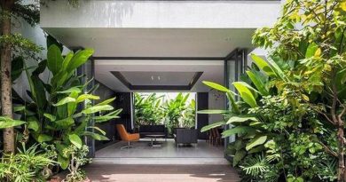 Dễ mang vận xui và hao tài