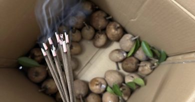 Cô gái cắm hương vào thùng hoa quả, nhiều người thắc mắc vì sao