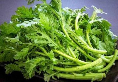 Nhiều người chọn rau củ chỉ vì vẻ ngoài, nhưng có những loại nên mua ít lại vì rủi ro sức khỏe cực cao