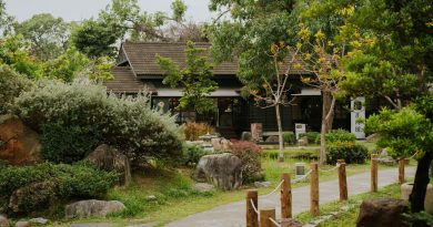 Gia Nghĩa không chỉ có A Lý Sơn