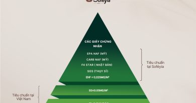 Soféyia – Thương hiệu nội thất tùy chỉnh tái định vị tầm nhìn thương hiệu