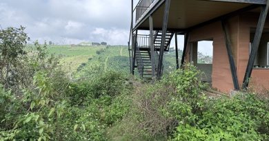 Chuyên gia nêu lý do đất nền phân lô bán cắt lỗ vẫn không có người mua