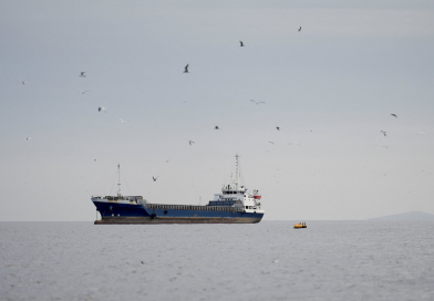 Né lệnh phong tỏa của Washington, một tàu bị Mỹ trừng phạt chở 250.000 thùng nhiên liệu thành công vượt eo biển Hormuz