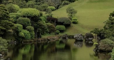 Tư tưởng Thiền Tông và Tịnh Độ trong thiết kế vườn Nhật Bản – Tạp chí Kiến trúc Việt Nam