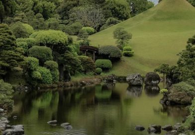 Tư tưởng Thiền Tông và Tịnh Độ trong thiết kế vườn Nhật Bản – Tạp chí Kiến trúc Việt Nam