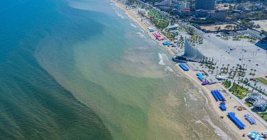 Tảo nở hoa khiến nước biển Vũng Tàu nổi váng, bốc mùi