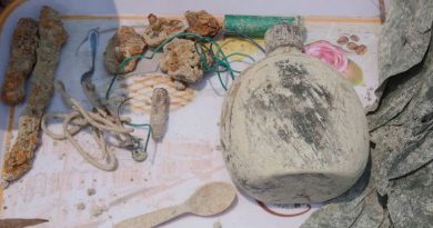 Phát hiện hài cốt liệt sĩ dưới hầm chiến đấu cùng súng tiểu liên AK