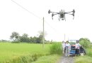 Nông nghiệp công nghệ cao ở đất sen hồng