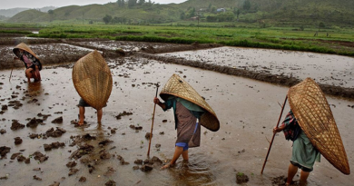Cả năm không khô nổi một ngày