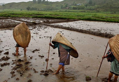 Cả năm không khô nổi một ngày