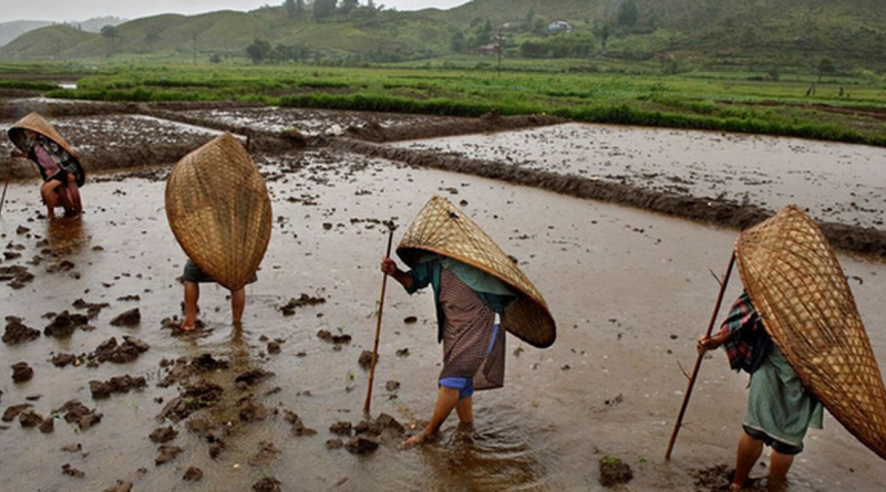 Cả năm không khô nổi một ngày