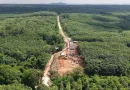 Đường xuyên rừng Mã Đà trước ngày thi công 13 km trên cao