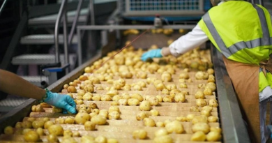 Phát hiện tinh hoa công nghệ làm ra 10 triệu gói xuất xưởng mỗi ngày