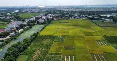 Xây 1 tầng, không hầm
