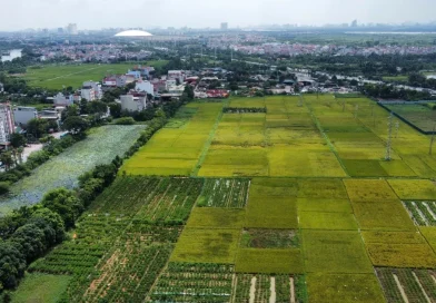 Xây 1 tầng, không hầm