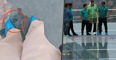 Cầu kính trên không cao 336 mét nứt toác, du khách hoảng loạn sơ tán