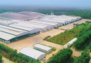Đến thủ phủ của sắn