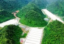 Ba người chết trong trang trại nuôi lợn