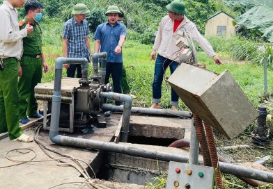 Điều tra toàn diện hoạt động trang trại nuôi lợn Dabaco