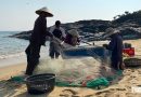 Một thuở Sa Huỳnh gánh cá đổi lúa