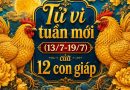 Tử vi tuần mới (13/7-19/7): Top 3 con giáp được Thần Tài ưu ái, công việc hanh thông, tiền bạc rủng rỉnh trông thấy
