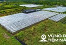 Toàn cảnh khu đất ven sông Hồng, nơi có thể xây tháp đôi nhiều tầng nhất thế giới, diện tích sàn gấp hơn 2 lần Burj Khalifa