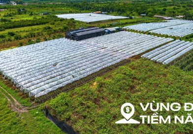 Toàn cảnh khu đất ven sông Hồng, nơi có thể xây tháp đôi nhiều tầng nhất thế giới, diện tích sàn gấp hơn 2 lần Burj Khalifa