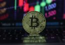 Altcoin ‘gần như đã chết’, Bitcoin sắp chạm đáy