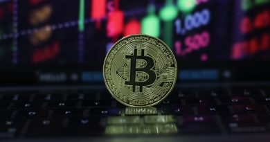 Altcoin ‘gần như đã chết’, Bitcoin sắp chạm đáy